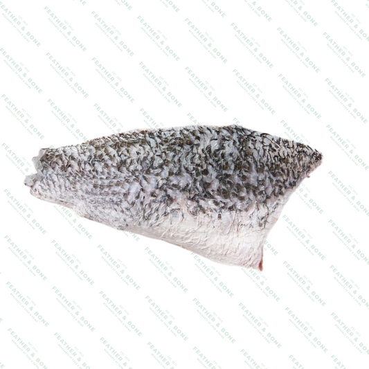 Barramundi Fillet Skin On 500g-700g (Frozen)