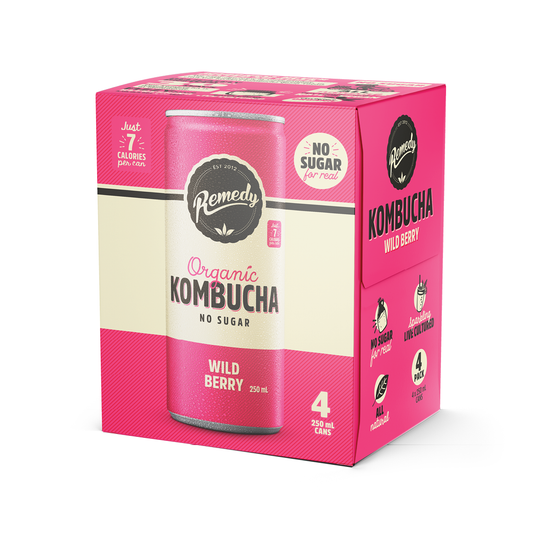 Remedy Organic Kombucha Wild Berry 250ml