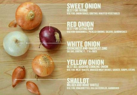 A picture of various types of onions with text explaining each one.