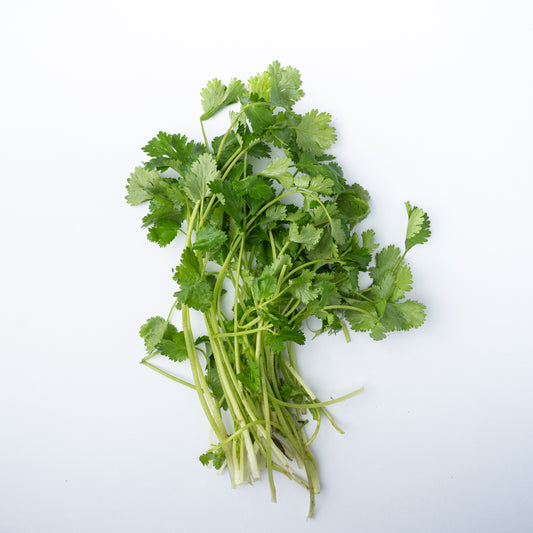 A fresh bunch of Coriander.