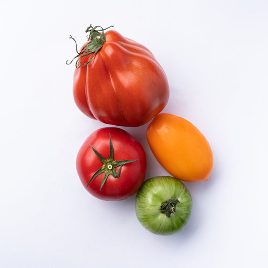 Four assorted heriloom tomatoes.