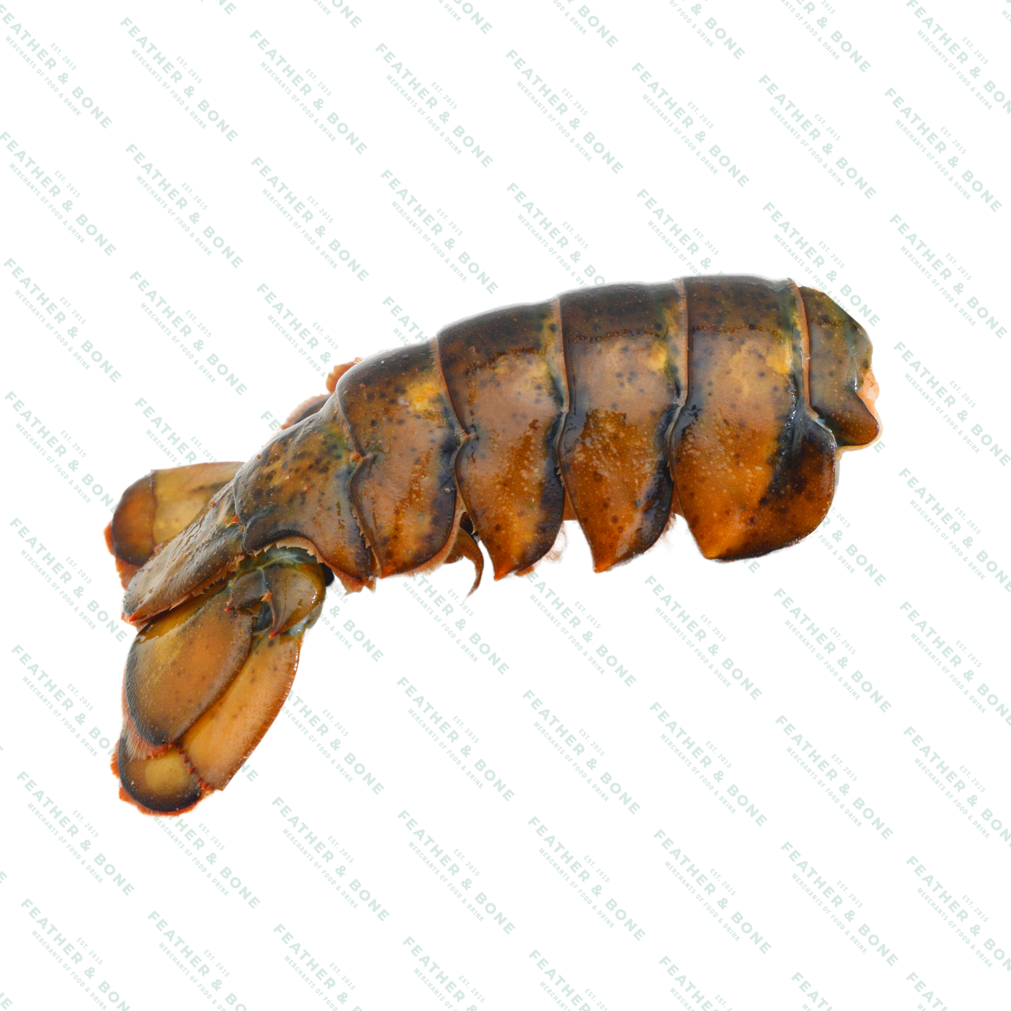 Canadian Lobster Tail 120g Frozen)