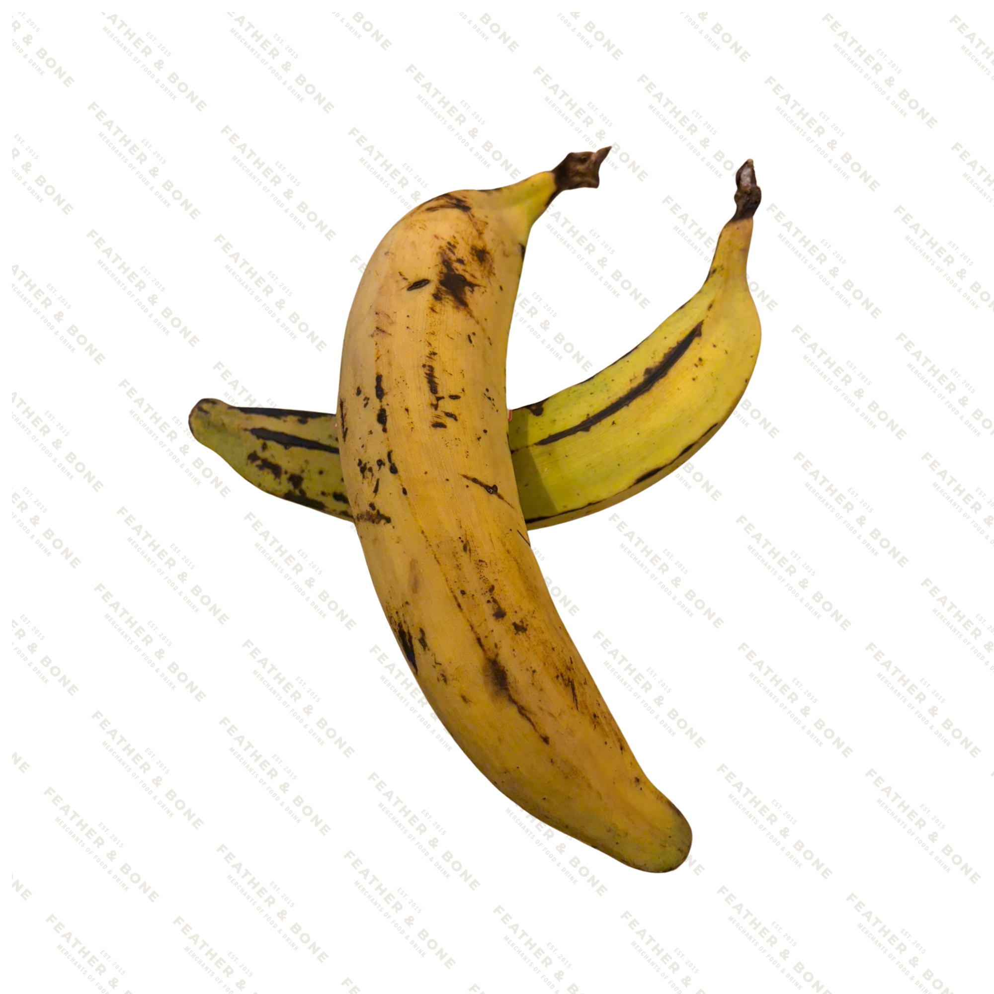 Plantain (two pieces)