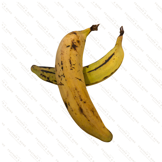 Plantain (two pieces)