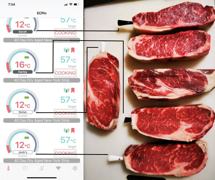 EC Wireless Meat Thermometer