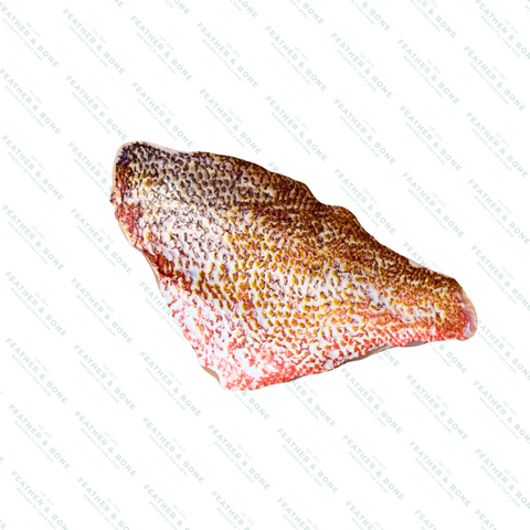 紅鯛魚片 100克-120克（冷凍）