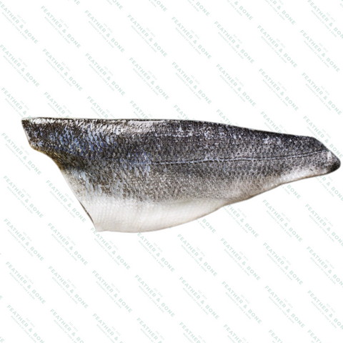 冷凍海鱸魚片 120克-150克