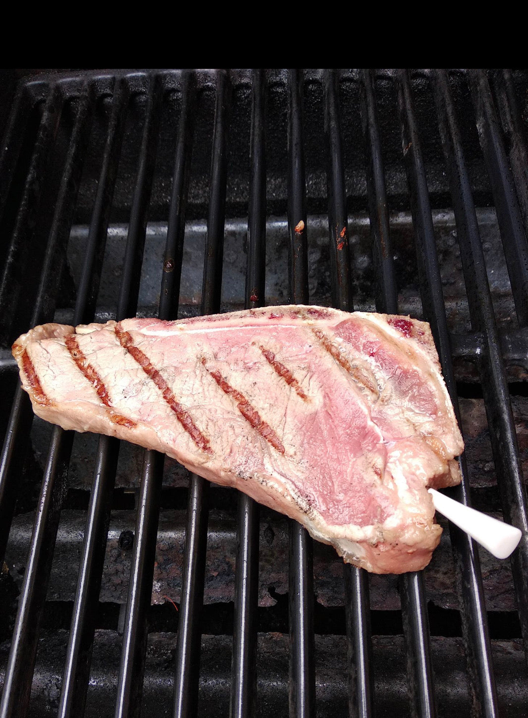 EC Wireless Meat Thermometer