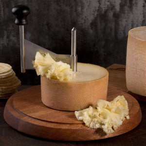 A Tete de Moine cheese on a girolle with a few curls being shaved off.