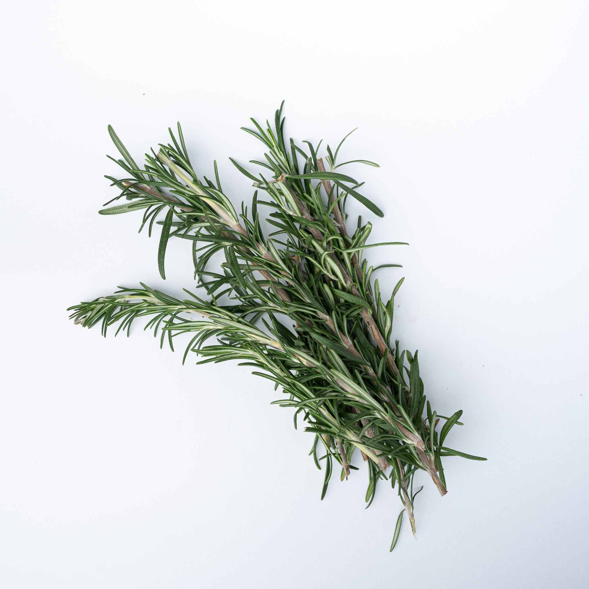 A bunch of rosemary.