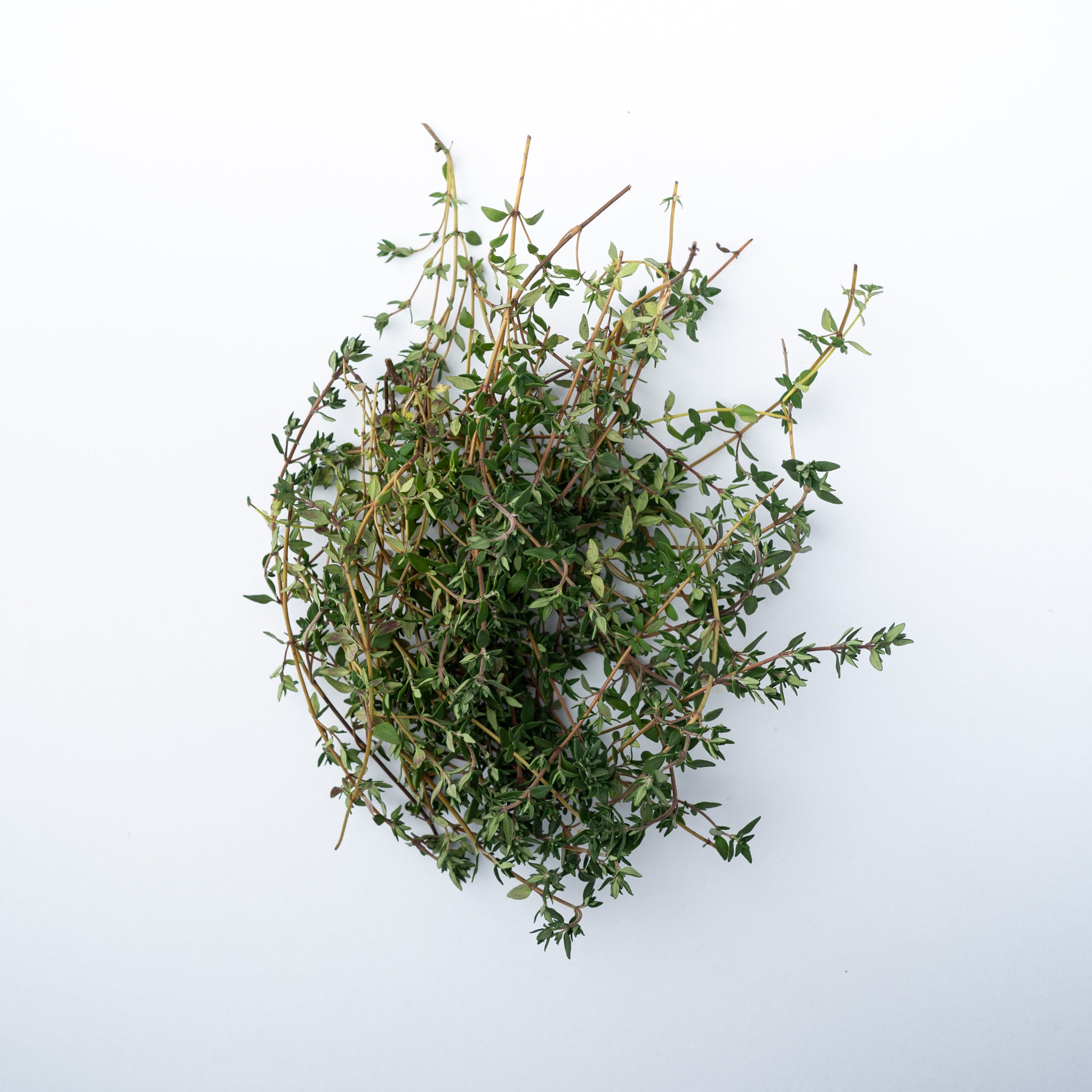 A bunch of thyme.