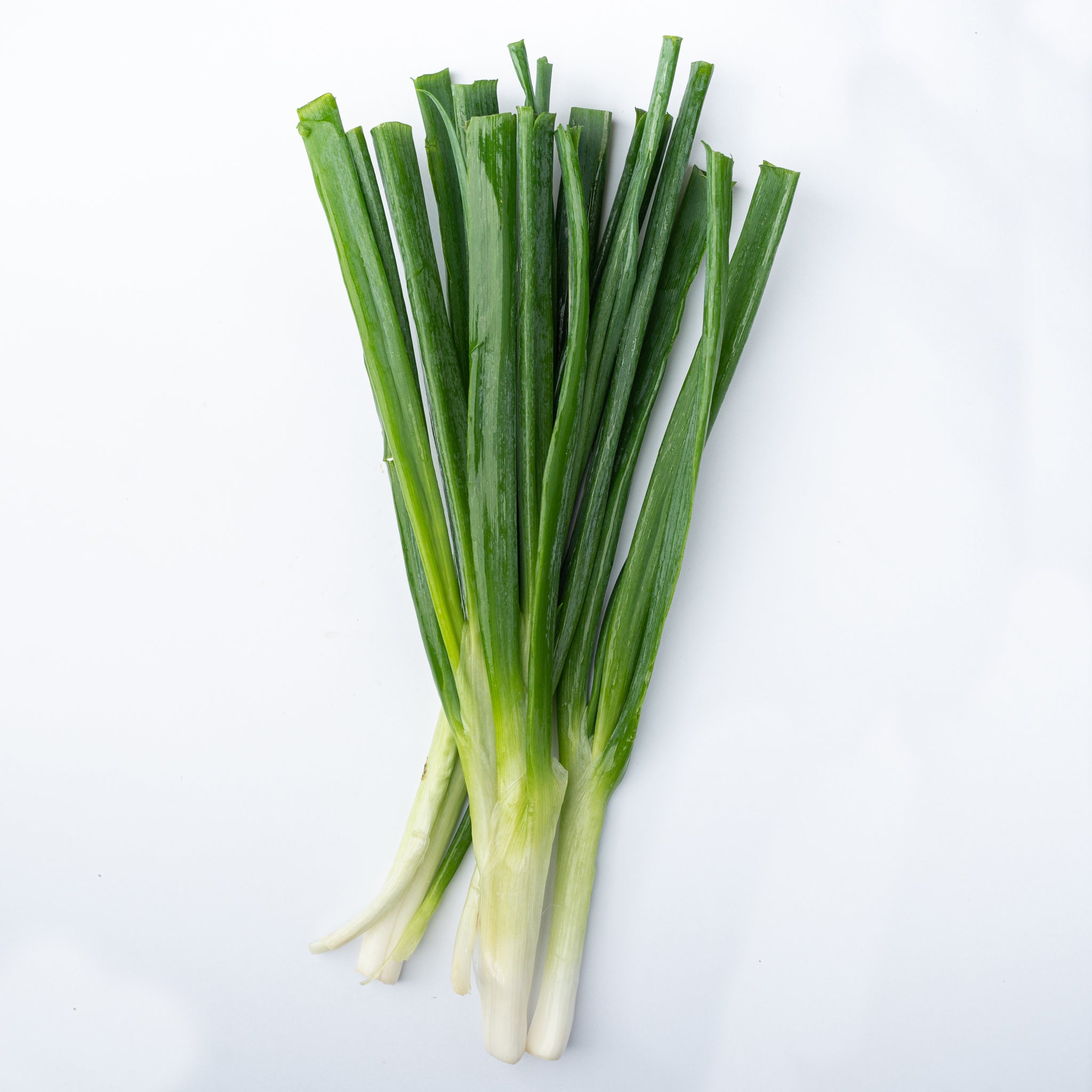 Spring Onion 100g
