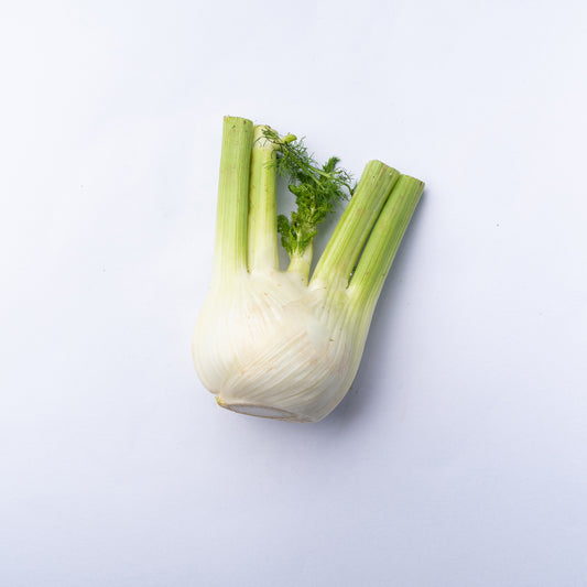 A bulb of fennel with the tops cut off.