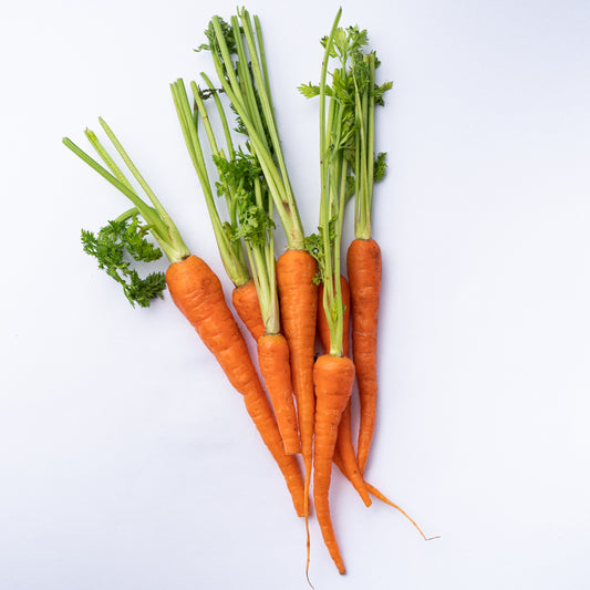 A bunch of orange baby carrots with green tops.