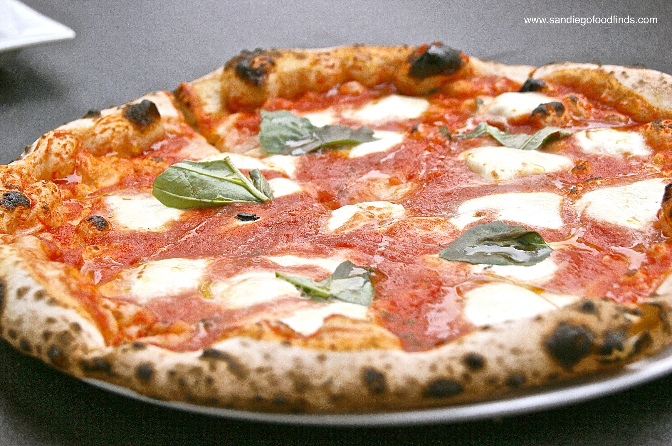 A wood-fired margarita pizza with tomato sauce, mozzarella and fresh basil leaves.