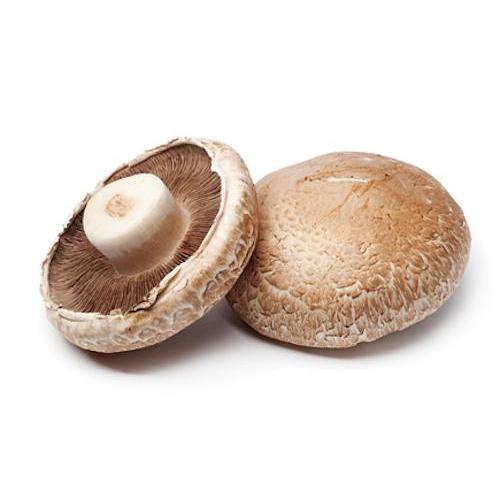 Portobello Mushroom (pc)-Feather & Bone (2404826153018)