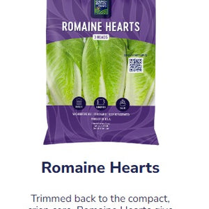US Romaine Lettuce Heart 624g