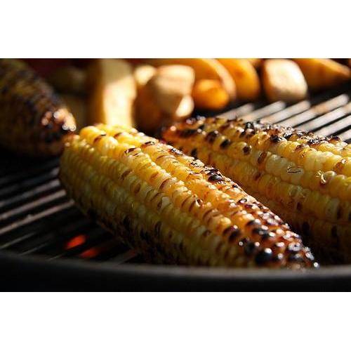 A slightly blackened barbequed cob of corn.